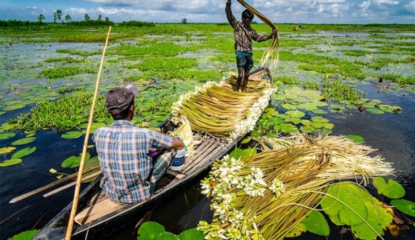 পদ্মা-পাড়ে-যত-পর্যটনকেন্দ্র