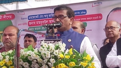 বিএনপি রাস্তায় রাস্তায় চোখের পানি ফেলছে: মাহবুব উল আলম হানিফ