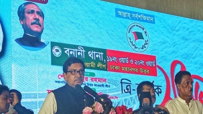 বিএনপি আবার নাশকতার পাঁয়তারা করছে: মাহবুবউল আলম হানিফ