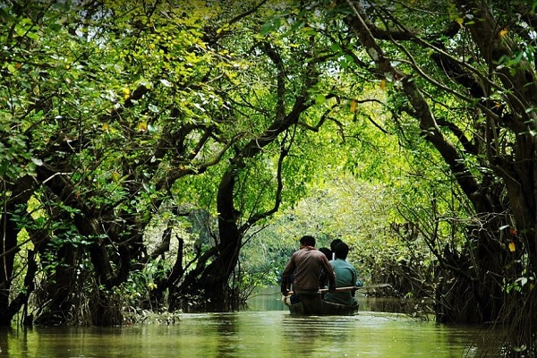 সময়-এসেছে-সুন্দরবনে-যাওয়ার