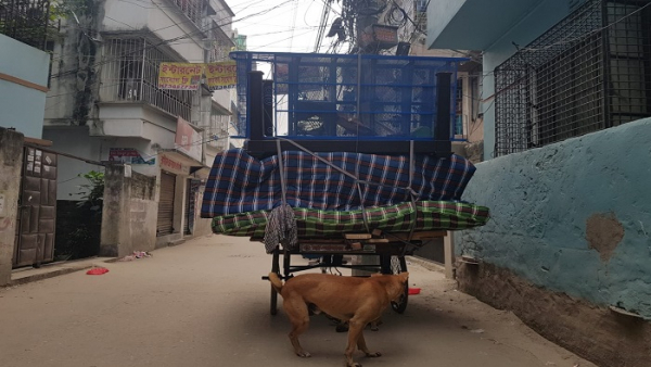 বাসা-বদলানোর-ঝক্কি-কমানোর-টিপস