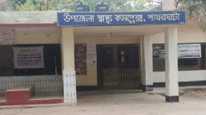 পাথরঘাটায় বাড়ছে ডেঙ্গুর প্রকোপ