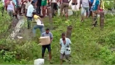 উল্টে গেল মদের গাড়ি, মদ হরিলুট করতে হুড়োহুড়ি (ভিডিও)