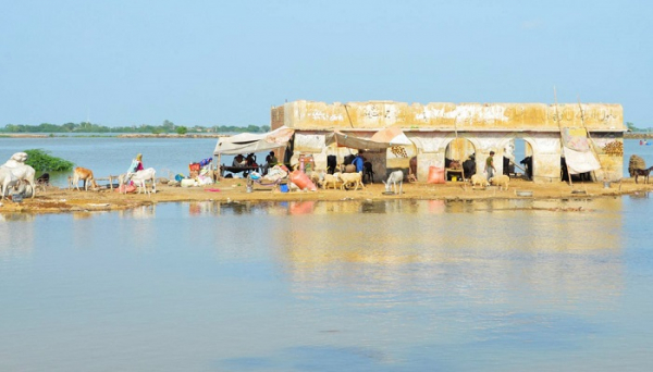 পাকিস্তানের-বন্যার-অবনতি-আরো-মানবিক-সাহায্যের-আহ্বান