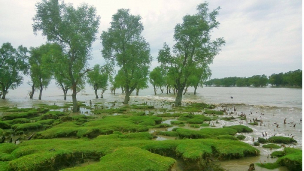 সীতাকুণ্ডে-যেন-আরেক-সুন্দরবন