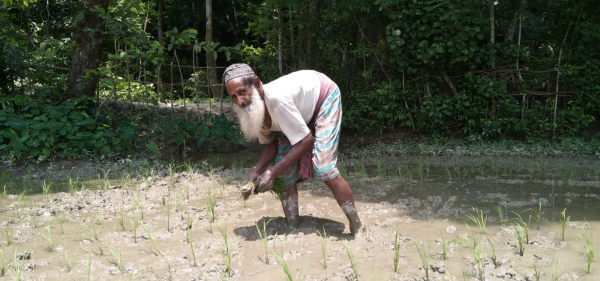 মোতালেব-মিয়ার-হাড়ভাঙা-কষ্টের-জীবন