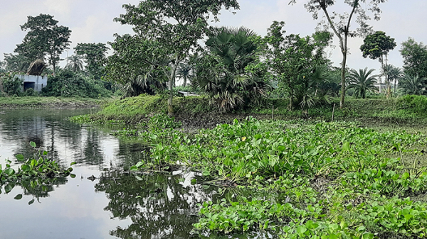 নদীতে-প্রভাবশালীর-পুকুর