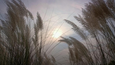 সাদা মেঘে লুকিয়ে হাসছে সোনালী সূর্য