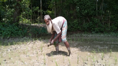 মোতালেব মিয়ার হাড়ভাঙা কষ্টের জীবন