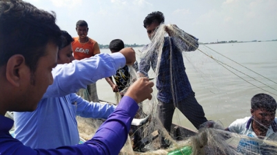 ব্রাহ্মণবাড়িয়ায় ইলিশ ধরায় ৫ জেলের জরিমানা