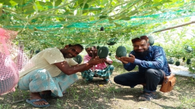 কৃষিতে প্রযুক্তির ছোঁয়া, লাভবান হচ্ছেন কৃষক