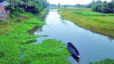 শাক তুলতে গিয়ে পানিতে ডুবে মরলো শিশু