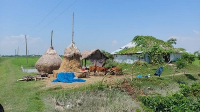 ছিল কেওড়া গাছ, এখন ৯০০ পরিবারের বাস