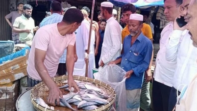 লক্ষ্মীপুরে সাড়ে ৩ মণ ইলিশ জব্দ, ব্যবসায়ীর জরিমানা